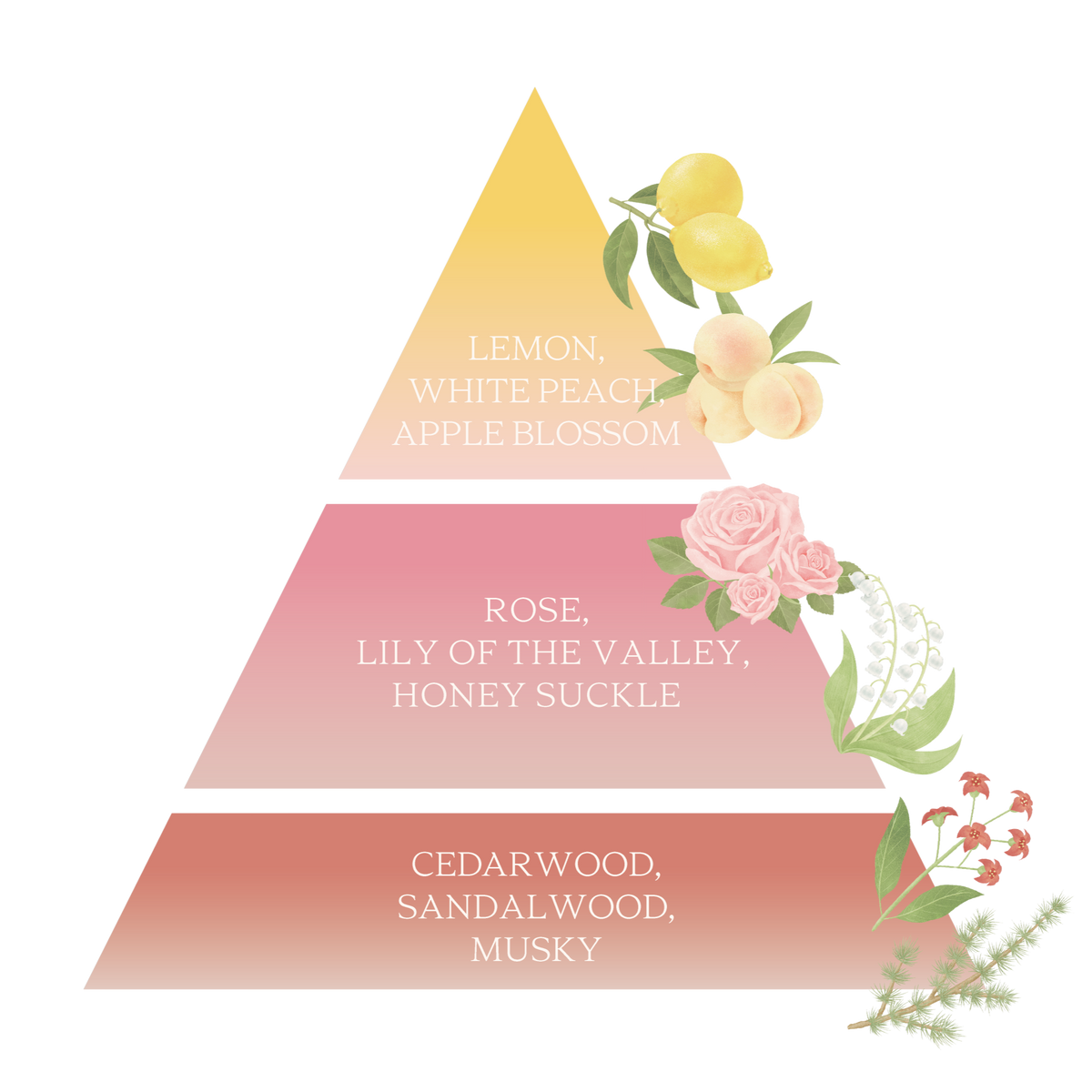 ミキモト リニューイング クリーム | MIKIMOTO BEAUTY